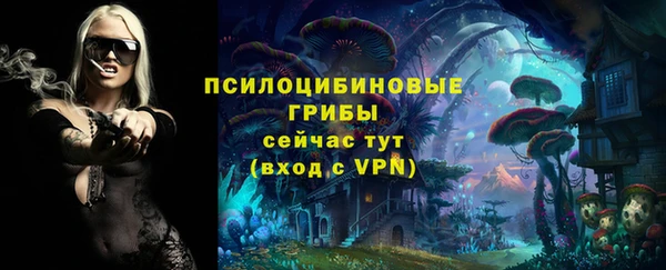 Альфа ПВП Арсеньев