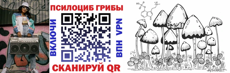 купить Михайлов Галлюциногенные грибы прущие грибы